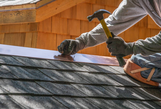 Trusted Louise, TX Roofing services Experts