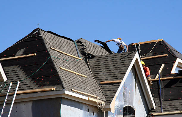 Best Roof Ventilation Installation  in Louise, TX